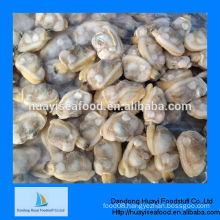 China clams without shell